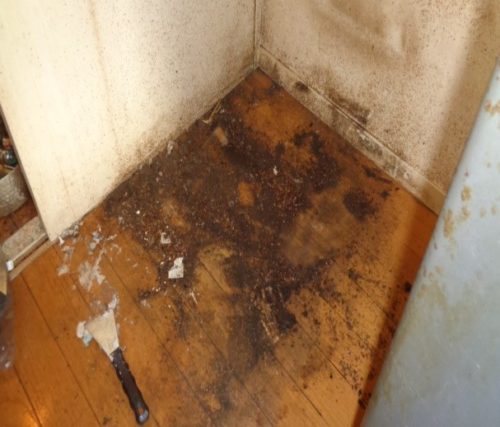 画像：キッチン③